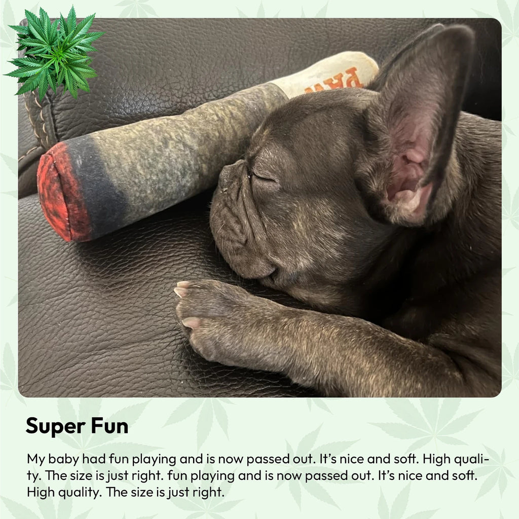 Doggie Joint Toy