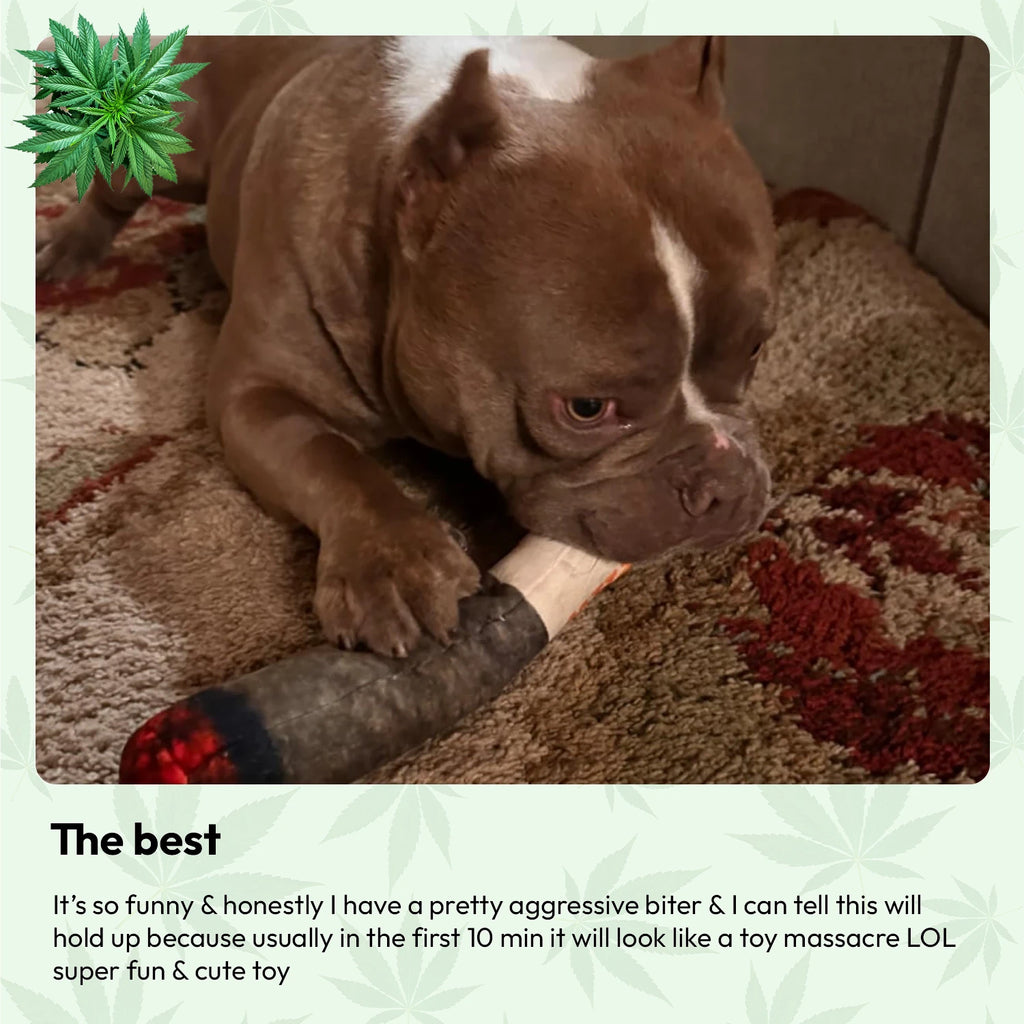 Doggie Joint Toy