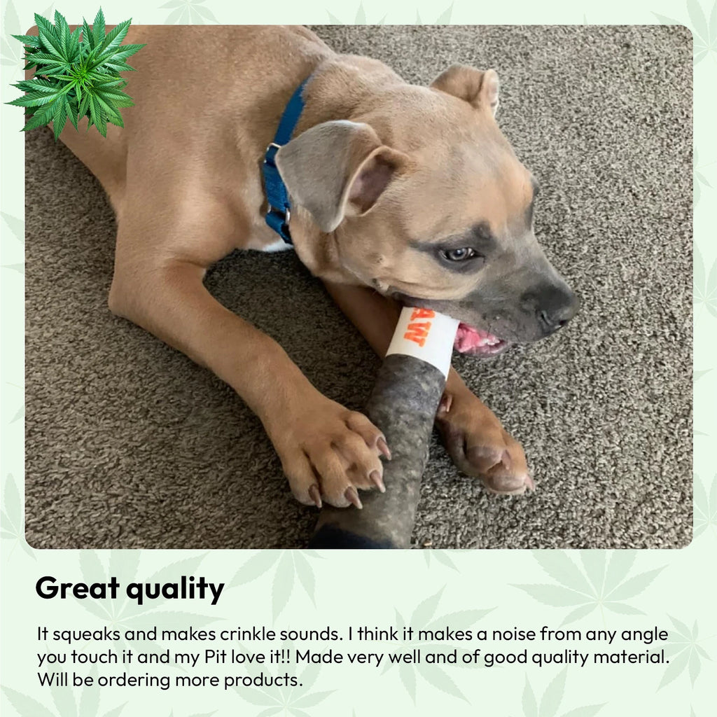 Doggie Joint Toy