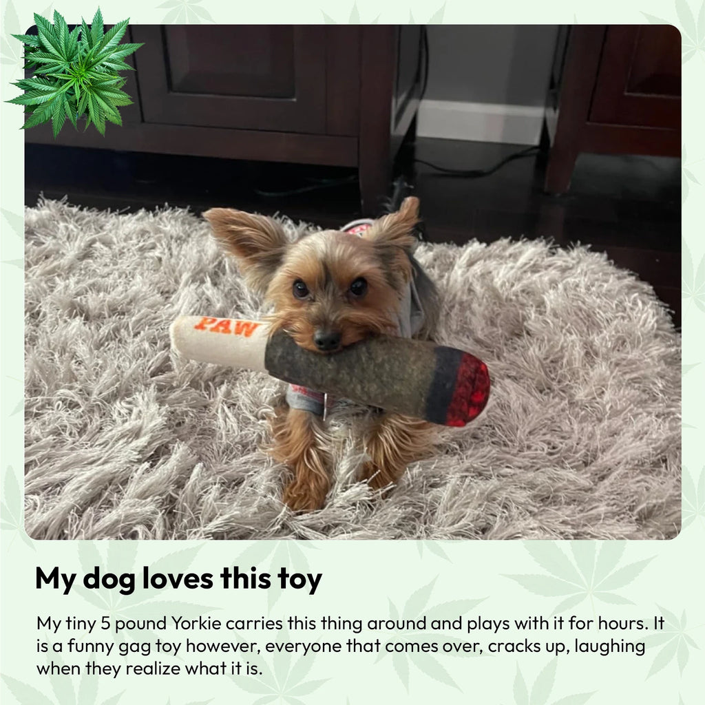 Doggie Joint Toy