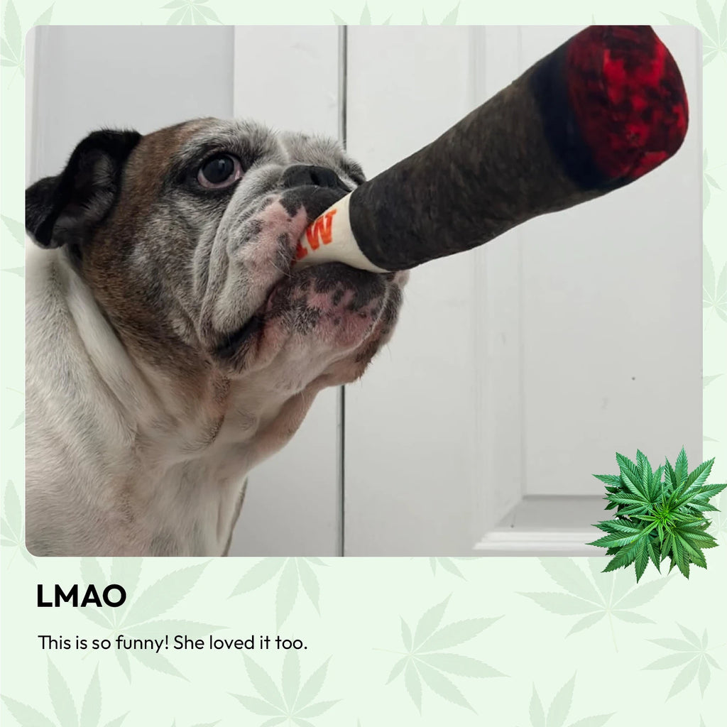 Doggie Joint Toy
