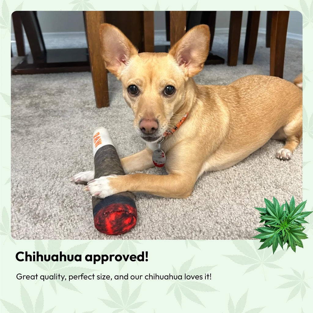 Doggie Joint Toy