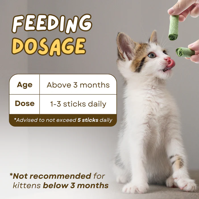 Cat Grass  Teething Sticks
